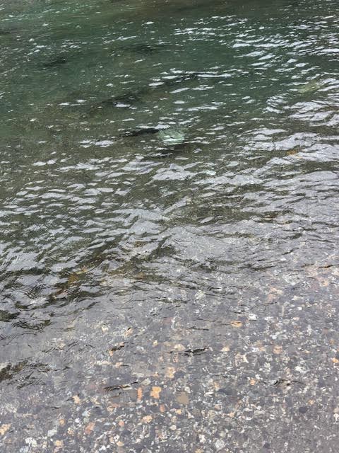 無事帰宅